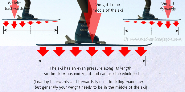 longitudinal.jpg