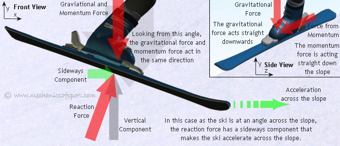 The forces on a ski when gravity and momentum act in the same direction down a slope