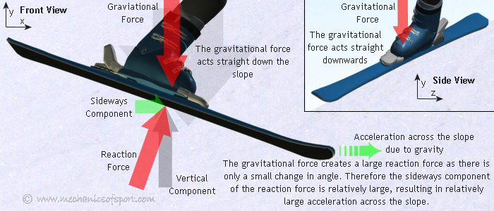 The forces on a ski caused by gravity