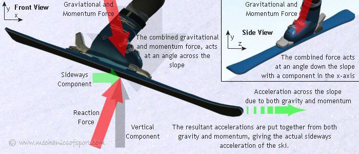 The forces on a ski when both gravity and momentum are considered