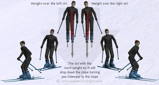 Putting your weight on a ski will make that ski fall down the slope first