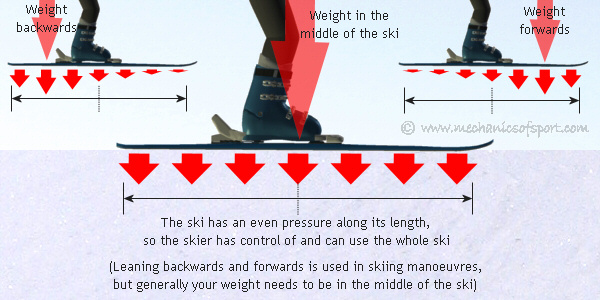 Your weight should generally be in the middle of the ski lengthways