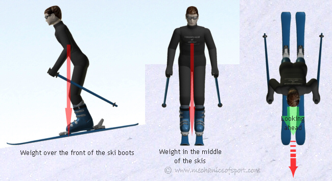 The correct stance for skiing straight forwards