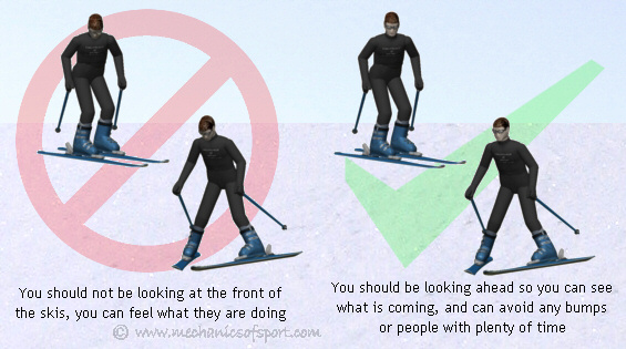 You should be looking forwards in the direction that you will be going, not looking at the skis