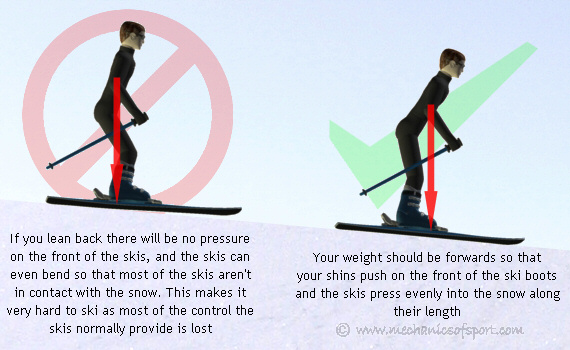 Your weight should be over the middle of the skis