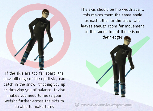 The skis should be hip width apart